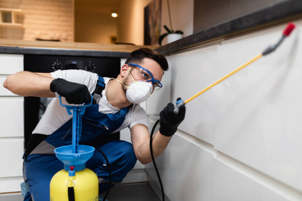Best Local Pest Control Services  in Waynesville, OH