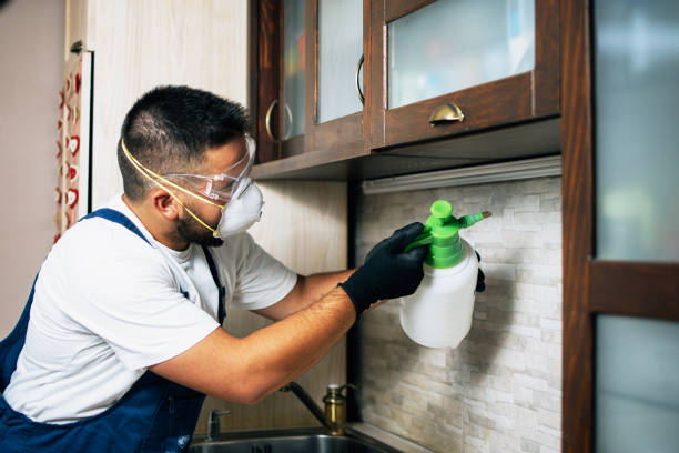 Best Insect Control  in Waynesville, OH