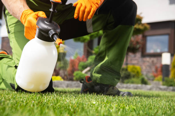 Best Pest Prevention Services  in Waynesville, OH