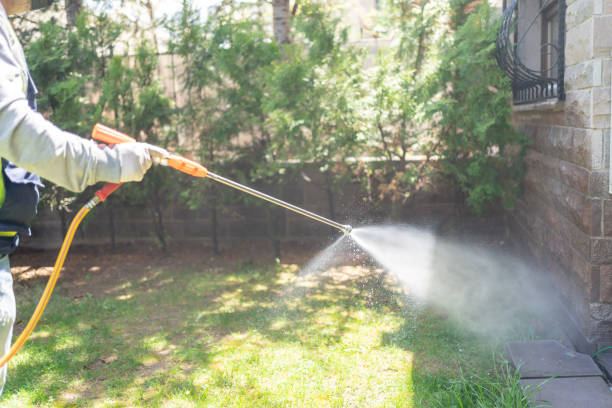 Best Best Pest Control Companies  in Waynesville, OH