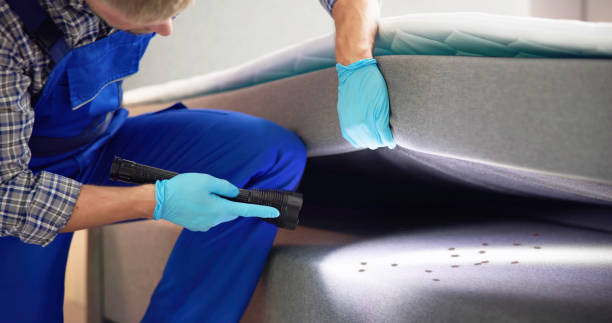 Best Exterminator Services  in Waynesville, OH