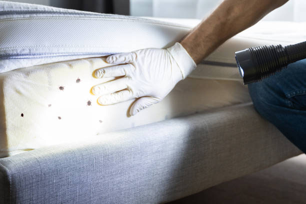 Best Pest Removal Services  in Waynesville, OH
