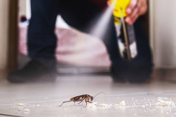 Pest Control Cost in Waynesville, OH