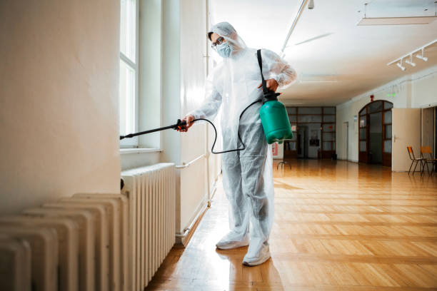 Wasp Removal Services in Waynesville, OH