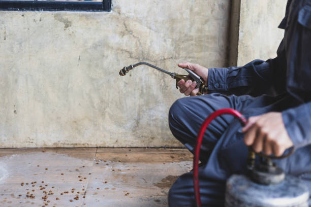 Best Mosquito Control Services  in Waynesville, OH